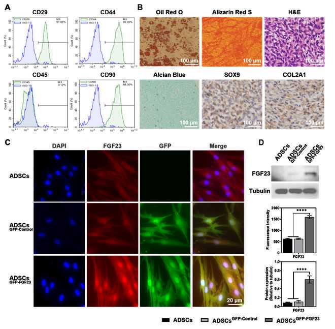 臨床醫學里程碑進展,首次成功進行氣管移植手術
